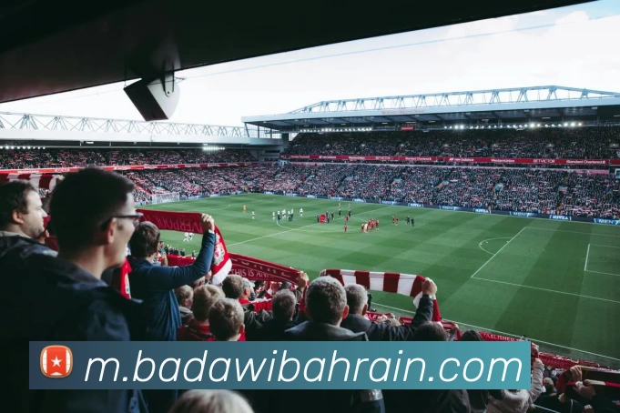 App 展示图